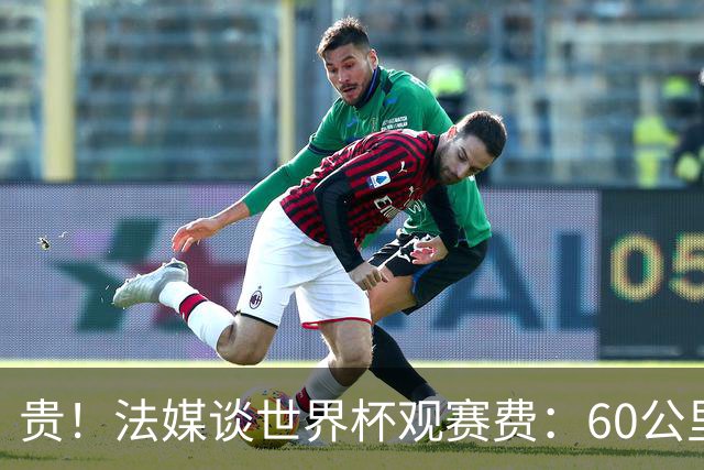 贵！法媒谈世界杯观赛费：60公里火车98美元，有人4天花4500欧元